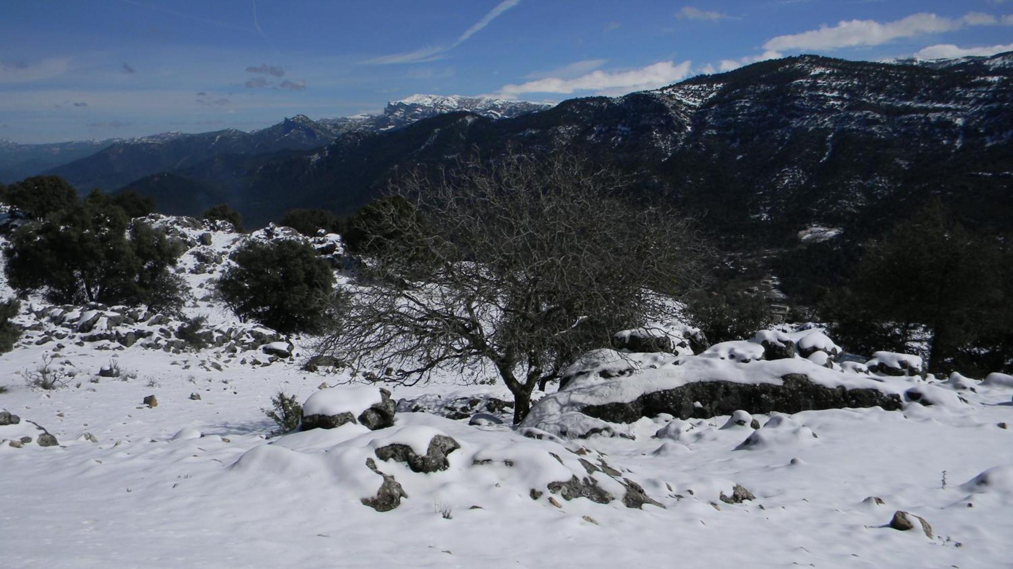 Casa Rural Fuente Zagrilla מראה חיצוני תמונה
